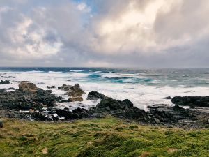 Cape Wickham Waves